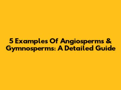 5 Examples Of Angiosperms & Gymnosperms: A Detailed Guide