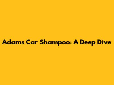 Adam's Car Shampoo: A Deep Dive