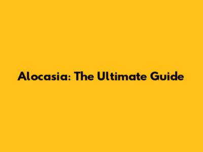 Alocasia: The Ultimate Guide