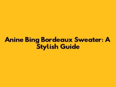 Anine Bing Bordeaux Sweater: A Stylish Guide