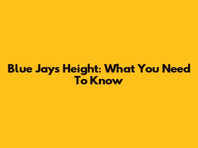 Blue Jays Height: What You Need To Know