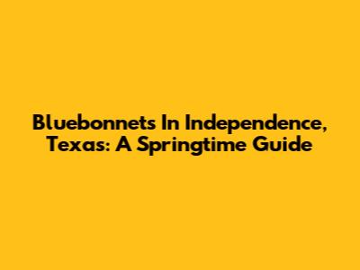 Bluebonnets In Independence, Texas: A Springtime Guide