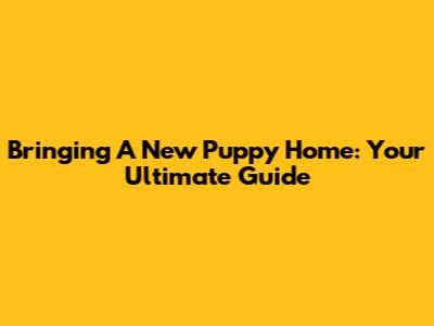 Bringing A New Puppy Home: Your Ultimate Guide