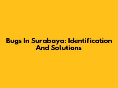Bugs In Surabaya: Identification And Solutions