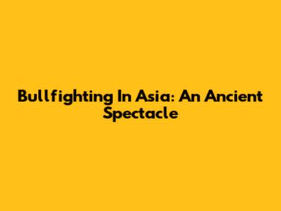 Bullfighting In Asia: An Ancient Spectacle