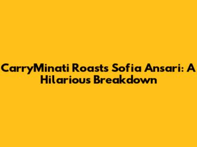 CarryMinati Roasts Sofia Ansari: A Hilarious Breakdown