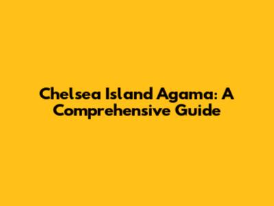 Chelsea Island Agama: A Comprehensive Guide