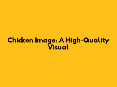 Chicken Image: A High-Quality Visual