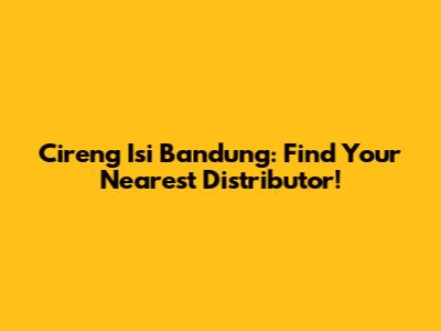 Cireng Isi Bandung: Find Your Nearest Distributor!