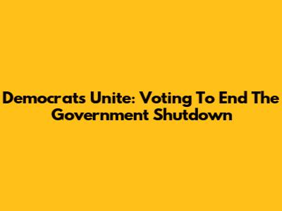 Democrats Unite: Voting To End The Government Shutdown