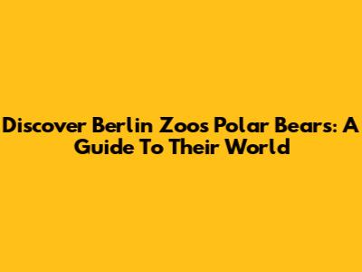 Discover Berlin Zoo's Polar Bears: A Guide To Their World