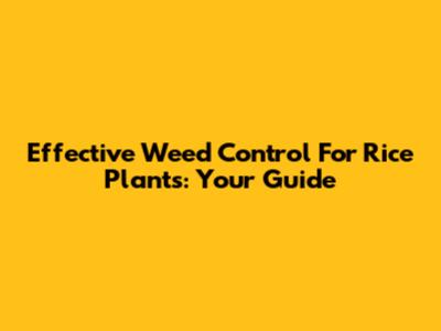 Effective Weed Control For Rice Plants: Your Guide