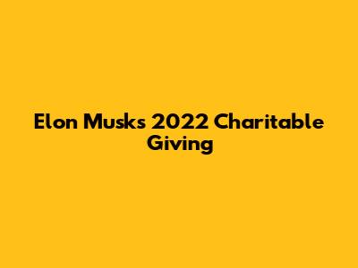 Elon Musk's 2022 Charitable Giving