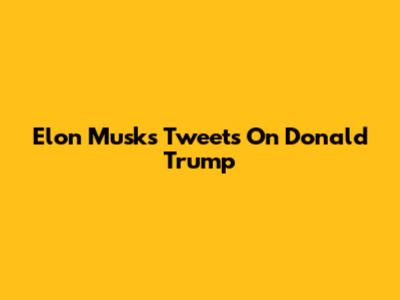 Elon Musk's Tweets On Donald Trump