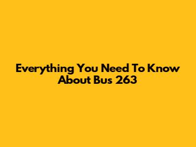 Everything You Need To Know About Bus 263