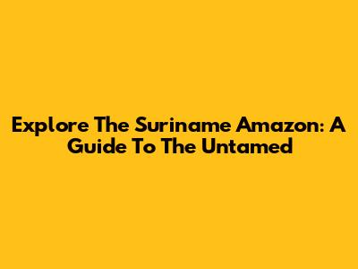 Explore The Suriname Amazon: A Guide To The Untamed