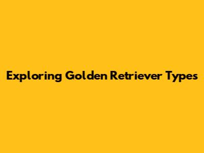 Exploring Golden Retriever Types