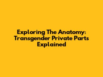 Exploring The Anatomy: Transgender Private Parts Explained