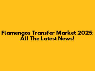 Flamengo's Transfer Market 2025: All The Latest News!