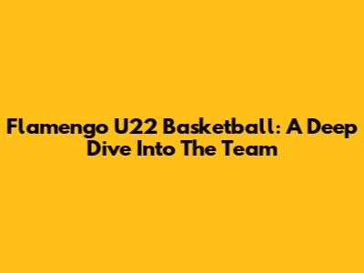 Flamengo U22 Basketball: A Deep Dive Into The Team