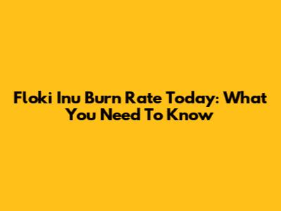 Floki Inu Burn Rate Today: What You Need To Know
