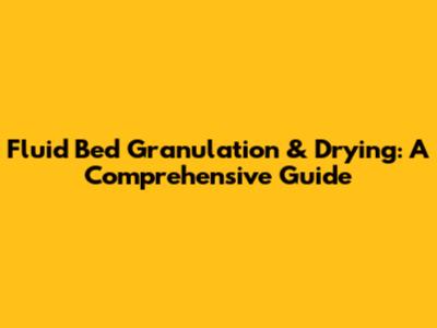 Fluid Bed Granulation & Drying: A Comprehensive Guide