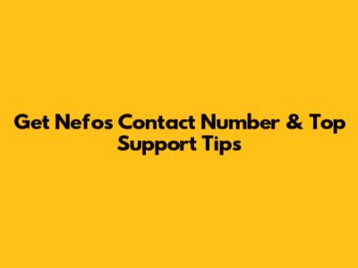Get Nefo's Contact Number & Top Support Tips