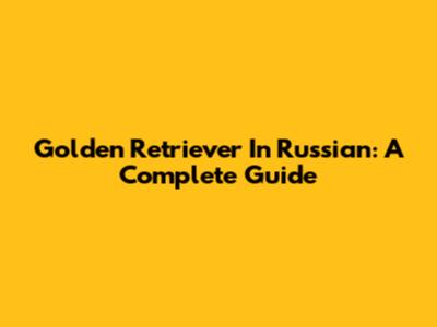 Golden Retriever In Russian: A Complete Guide