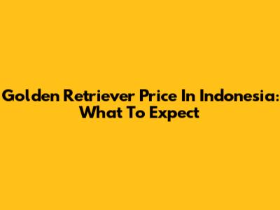 Golden Retriever Price In Indonesia: What To Expect
