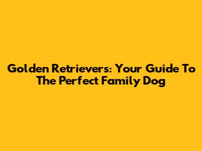 Golden Retrievers: Your Guide To The Perfect Family Dog