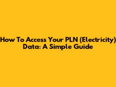 How To Access Your PLN (Electricity) Data: A Simple Guide