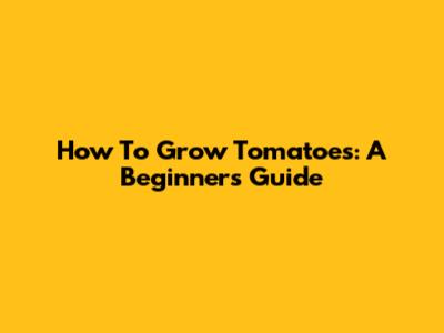 How To Grow Tomatoes: A Beginner's Guide