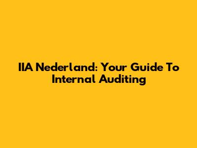 IIA Nederland: Your Guide To Internal Auditing