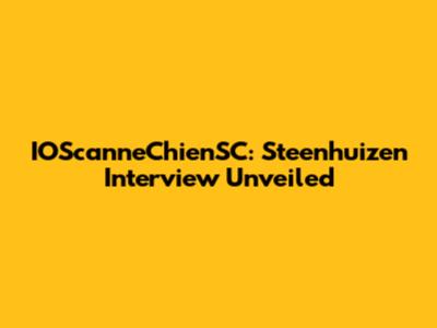 IOScanneChienSC: Steenhuizen Interview Unveiled