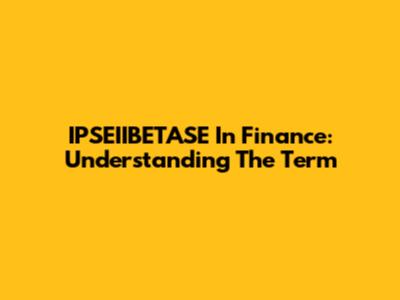 IPSEIIBETASE In Finance: Understanding The Term