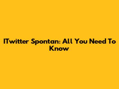 ITwitter Spontan: All You Need To Know