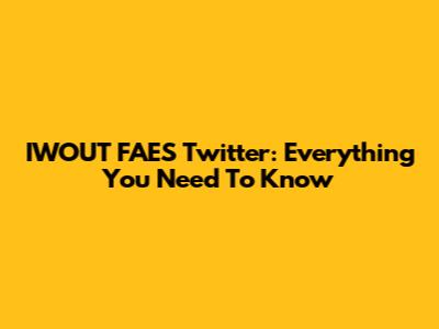 IWOUT FAES Twitter: Everything You Need To Know