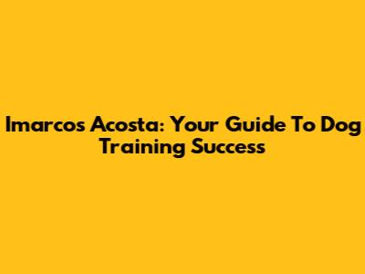 Imarcos Acosta: Your Guide To Dog Training Success