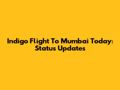 Indigo Flight To Mumbai Today: Status Updates