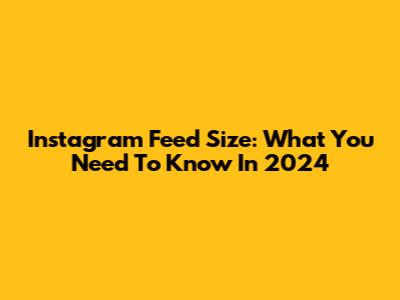 Instagram Feed Size: What You Need To Know In 2024