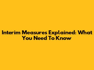 Interim Measures Explained: What You Need To Know