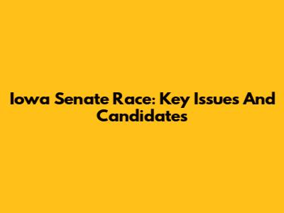 Iowa Senate Race: Key Issues And Candidates