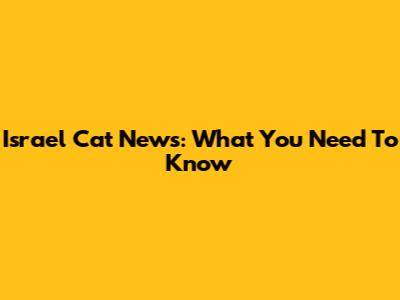Israel Cat News: What You Need To Know