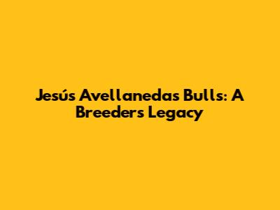 Jesús Avellaneda's Bulls: A Breeder's Legacy