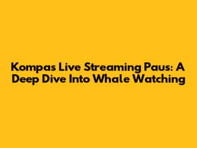 Kompas Live Streaming Paus: A Deep Dive Into Whale Watching