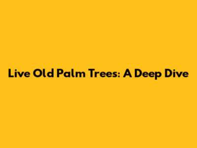 Live Old Palm Trees: A Deep Dive