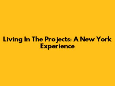 Living In The Projects: A New York Experience