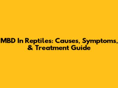 MBD In Reptiles: Causes, Symptoms, & Treatment Guide