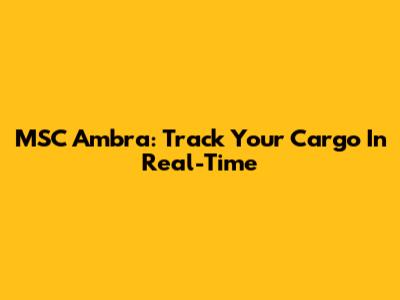 MSC Ambra: Track Your Cargo In Real-Time