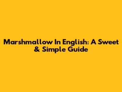 Marshmallow In English: A Sweet & Simple Guide